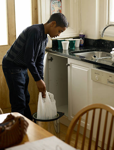 Best Dumpster Rental Services  in Davis, CA